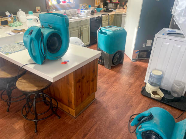 Best Carpet water damage restoration  in Oak Grove, AL