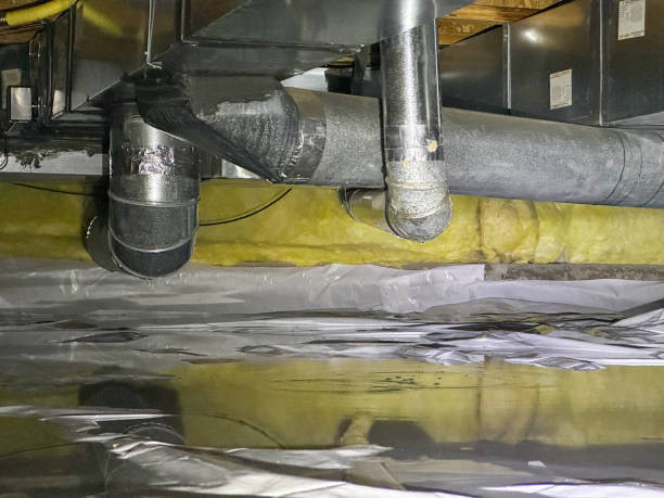 Best Water damage restoration process  in Oak Grove, AL