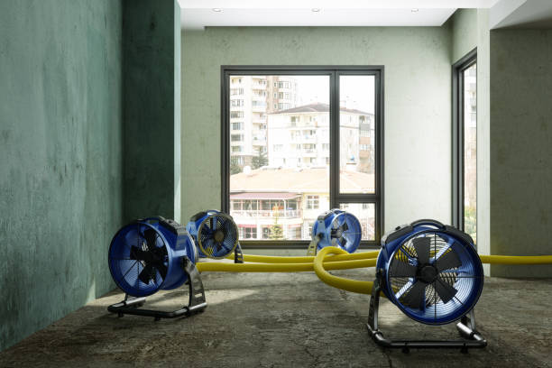 Best 24-hour water damage restoration  in Oak Grove, AL